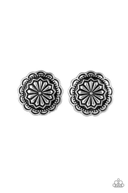 paparazzi-accessories-durango-desert-silver-post earrings