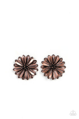 paparazzi-accessories-daisy-dilemma-copper-post earrings